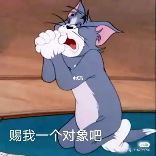 求老天赐给我一个对象吧