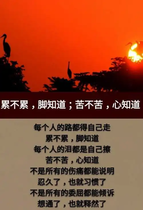 人生:一天很短,一年很短,一生很短,但这一生,很累,很苦!