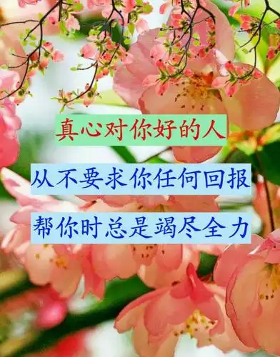 请珍惜真心对你好的人