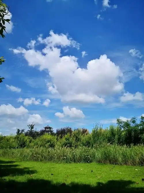 预计本周晴间多云天气为主
