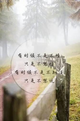 简介:一组精美的一句话经典文字图片,一句话,经典,文字,图片,标签