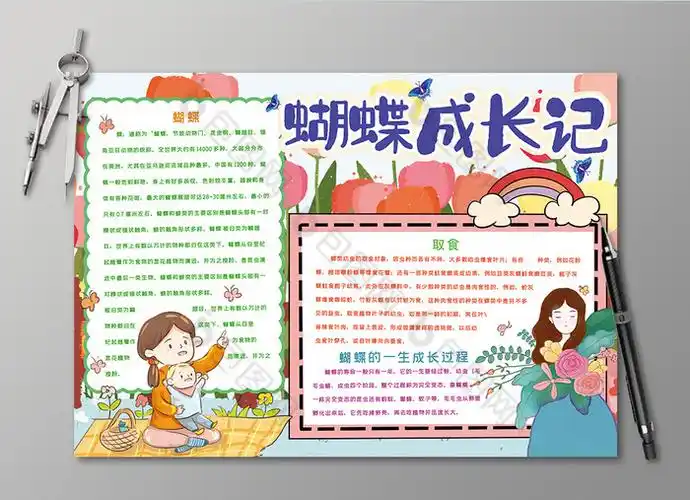 蝴蝶成长记观察日记黑白线描小报