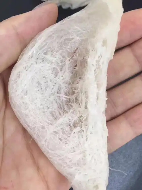 教你8招辨别真假燕窝