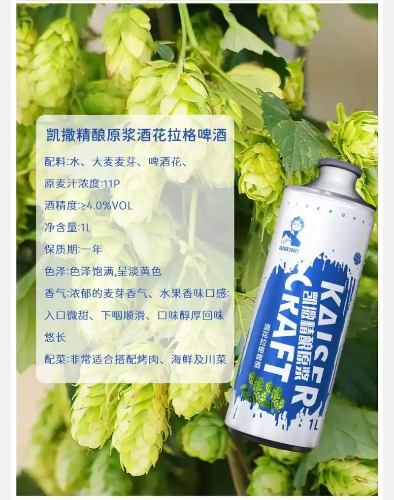 凯撒精酿小麦啤酒.1升装 ,66一箱/6桶 原麦汁浓度11  - 抖音