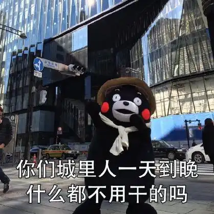 表情包提示:按 ← → 方向键也可以换表情哦下一张:兄弟,女人都是骗子