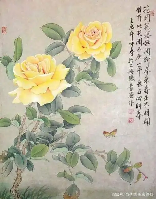 月季花工笔画作品