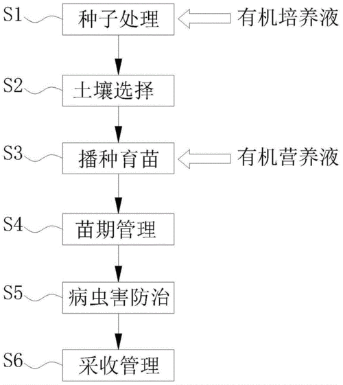一种高产量乌塌菜的种植方法与流程