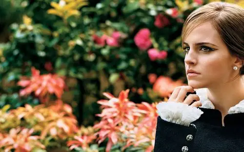 艾玛·沃特森3021920x1200分辨率下载,艾玛·沃特森302,图片,壁纸