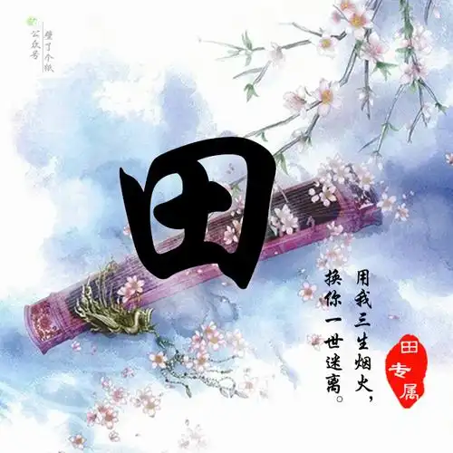 【编号2206】微信头像,姓氏头像,古风藏头诗