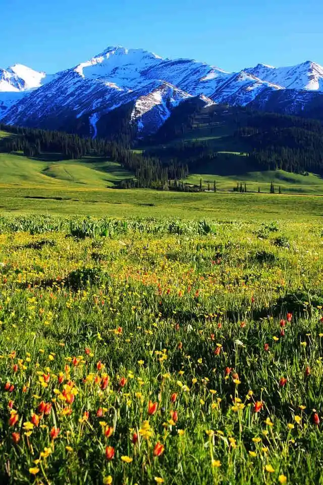 新疆·那拉提大草原唯美的自然风光,分享给大家看一看