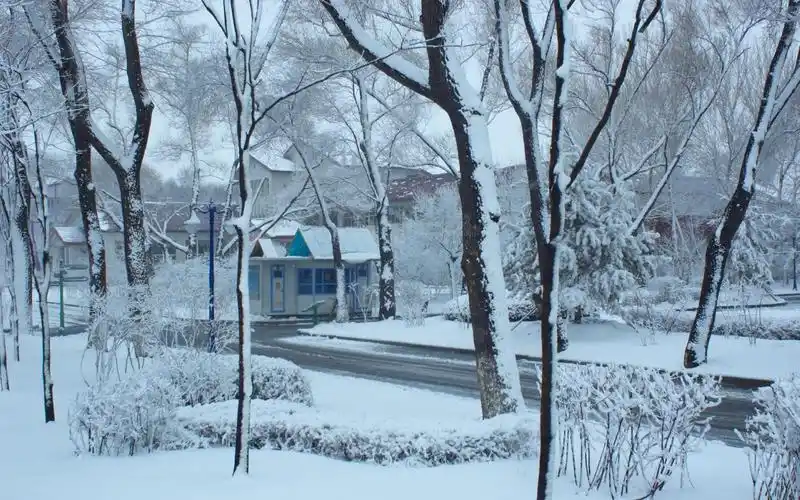 哈尔滨冬天雪景