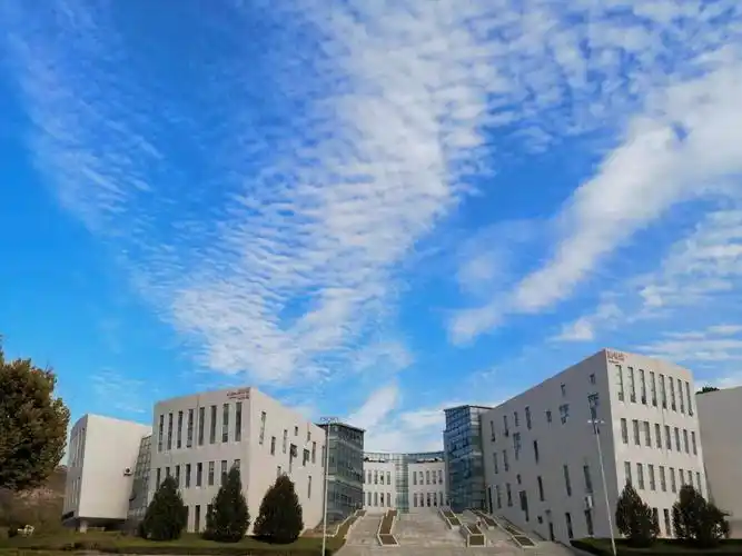 山东艺术学院-百科君