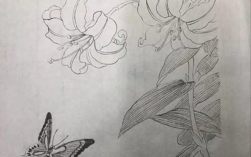 我爱你亲爱的祖国版蝶恋花白描_哔哩哔哩_bilibili