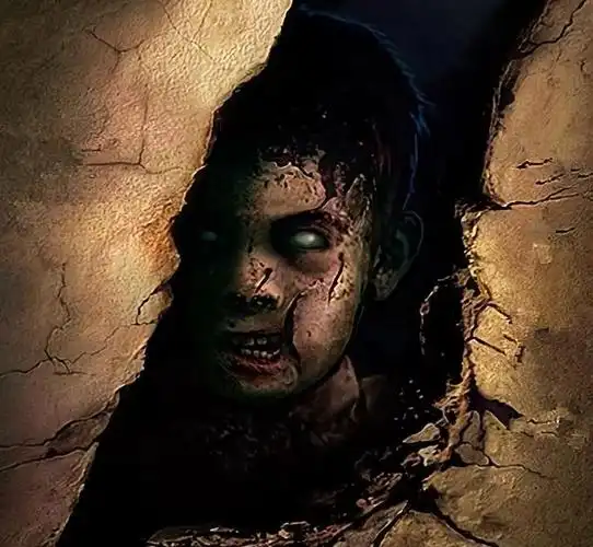 从头到尾,实打实上干货,各种恐怖画面,把人吓到头掉.