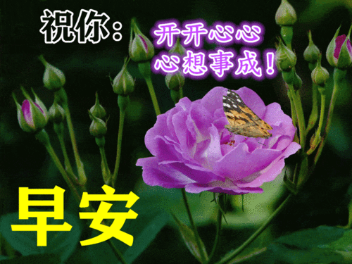 6月23日最漂亮早上好动态表情图片大全,早晨好动图美图大全_问候