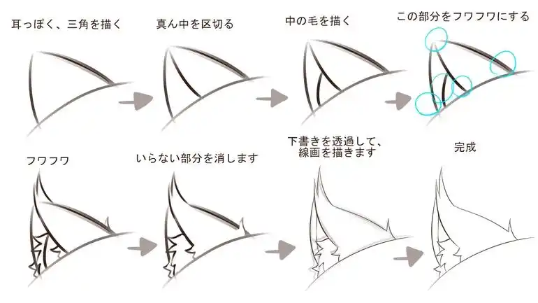 教你怎么画好可爱的猫耳