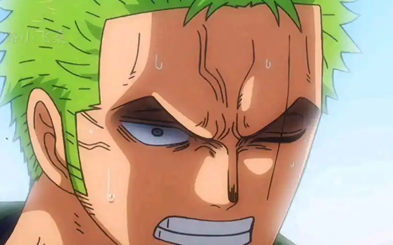 "索隆的几次非常生气" 人死了 到底有什么好笑的-酒醉人自迷-默认收藏