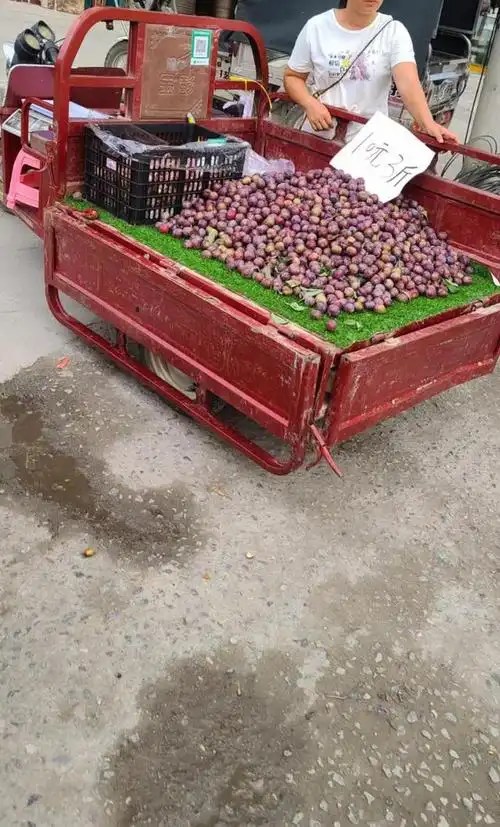 八九月的时候,广西的很多小城市里到处可见推着三轮车叫卖水果的人,这