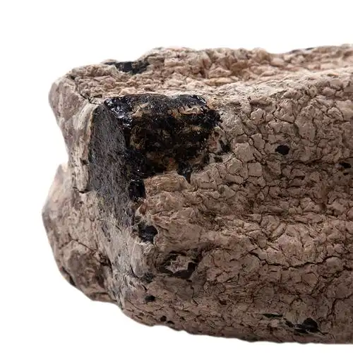 香港圣藏拍卖的相册 - 极品翳珀欣赏及拍卖行情