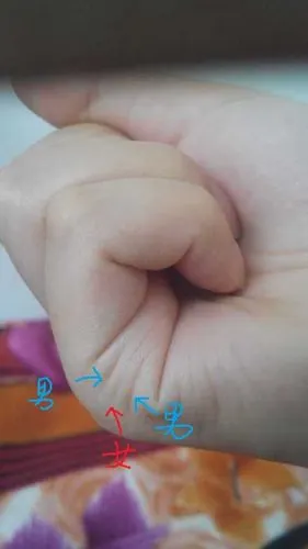 纹路,就是我们今天要说的"子女线" 子女线多条,有深有浅,今生儿女双全