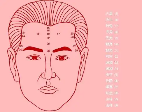 苏氏面相学:额头