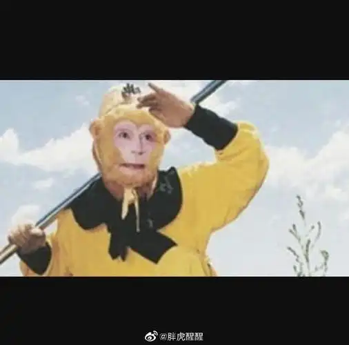 草草不要面子的吗?蜜蜂翻出草儿同款外套竟撞衫孙悟空