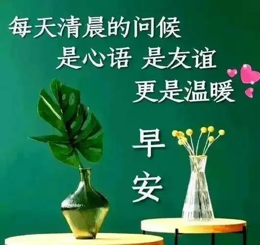 朋友圈最新版早安问候语早上好美图,清新漂亮的问候图片送给大家