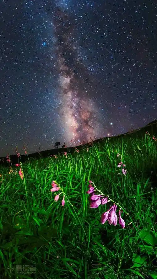 图片是我的星空摄影作品《银河与紫玉簪》,获得不少朋友的点赞