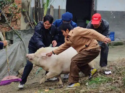 我是从荒年过来的
