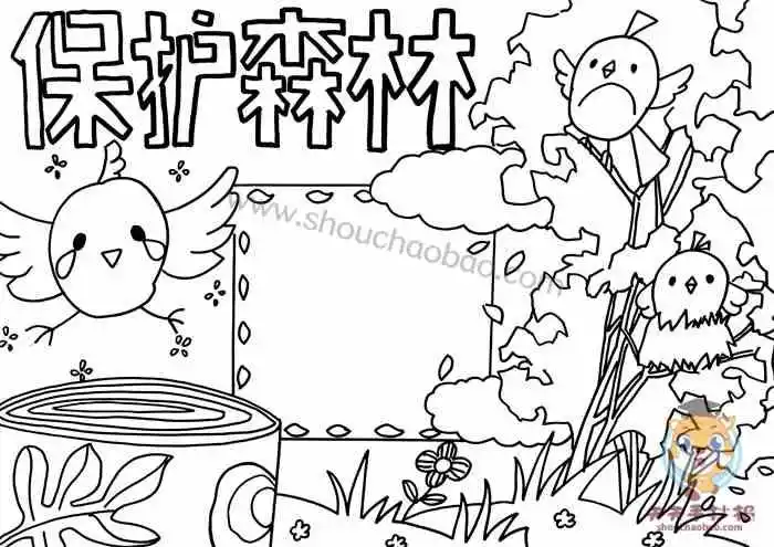 手抄报,保护森林手抄报教程,保护森林手抄报图片,保护森林手抄报模板