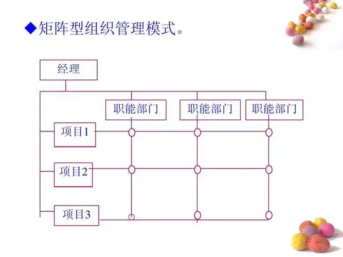 建设工程资源管理  矩阵型组织管理模式.
