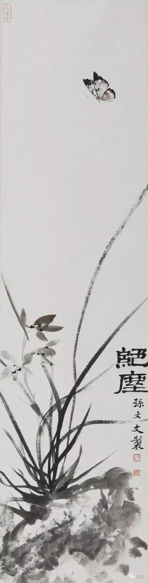 专访孙文文随心随性一步一个脚印