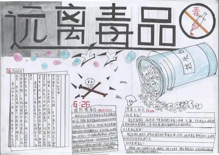 美术|海口市长彤学校"禁毒手抄报"优秀作品展