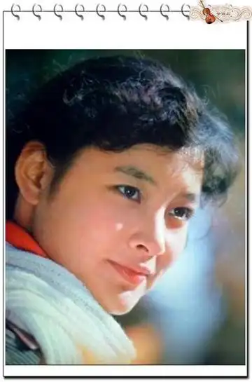 我最喜爱的八十年代电影演员陈冲图集【美图来自好友梦丽岛】