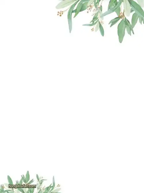 带有小小叶子装饰的空白a4纸张背景