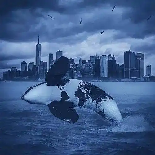 中老年头像大全男成熟意境霸气微信头像