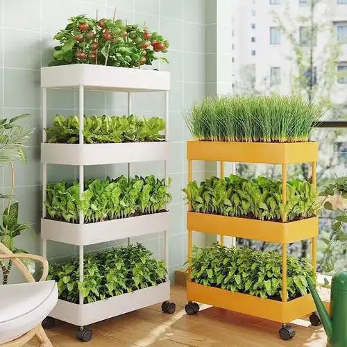 阳台种菜架子养花架子多层室外庭院种植蔬菜苗阳台室内通用种批发