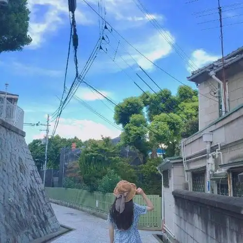 抱猫头像女背影图片