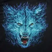 动物狼头像图片大全_微信头像图片大全