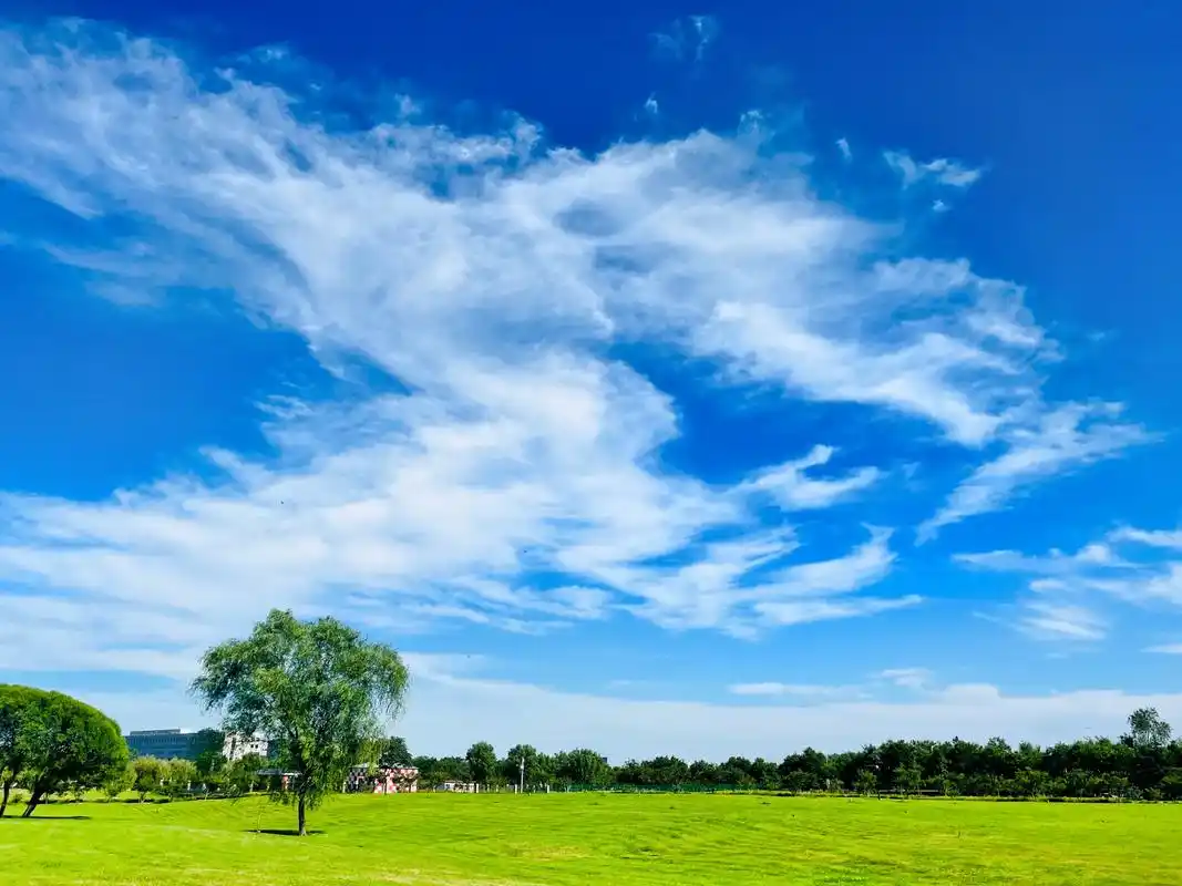 今天的天空特别美 #治愈系风景 #手机摄影  蓝天白云,还 - 抖音