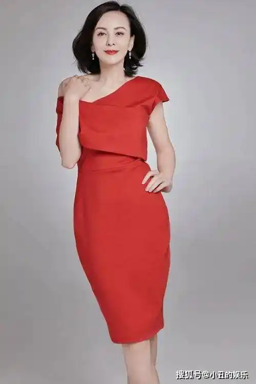 凭借"雪姨"一炮而红,经历2次婚史,今49岁依旧风韵犹存_王琳_成为了_状