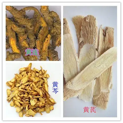 (制作"三黄药面"的黄连,黄芪,黄芩)3,黄芪的功效性味:味甘,性微温