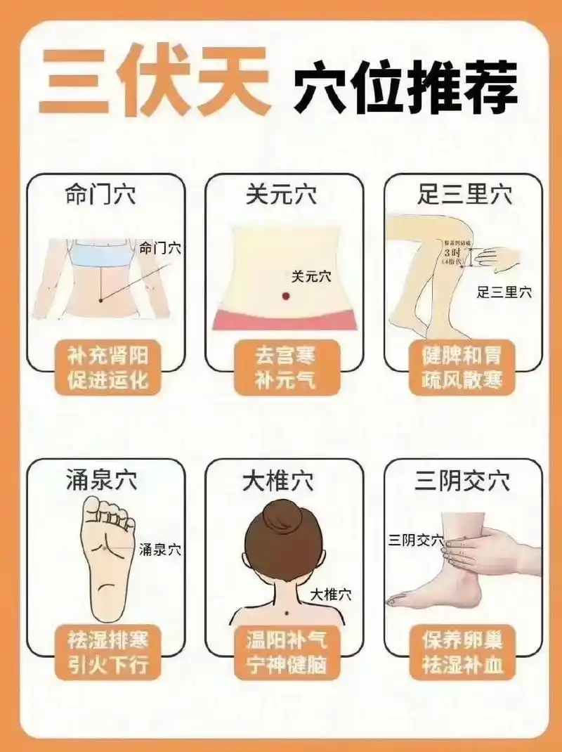 三伏艾灸养生穴位推荐:͏  1.关元穴:去宫寒,补元气 2.命门穴