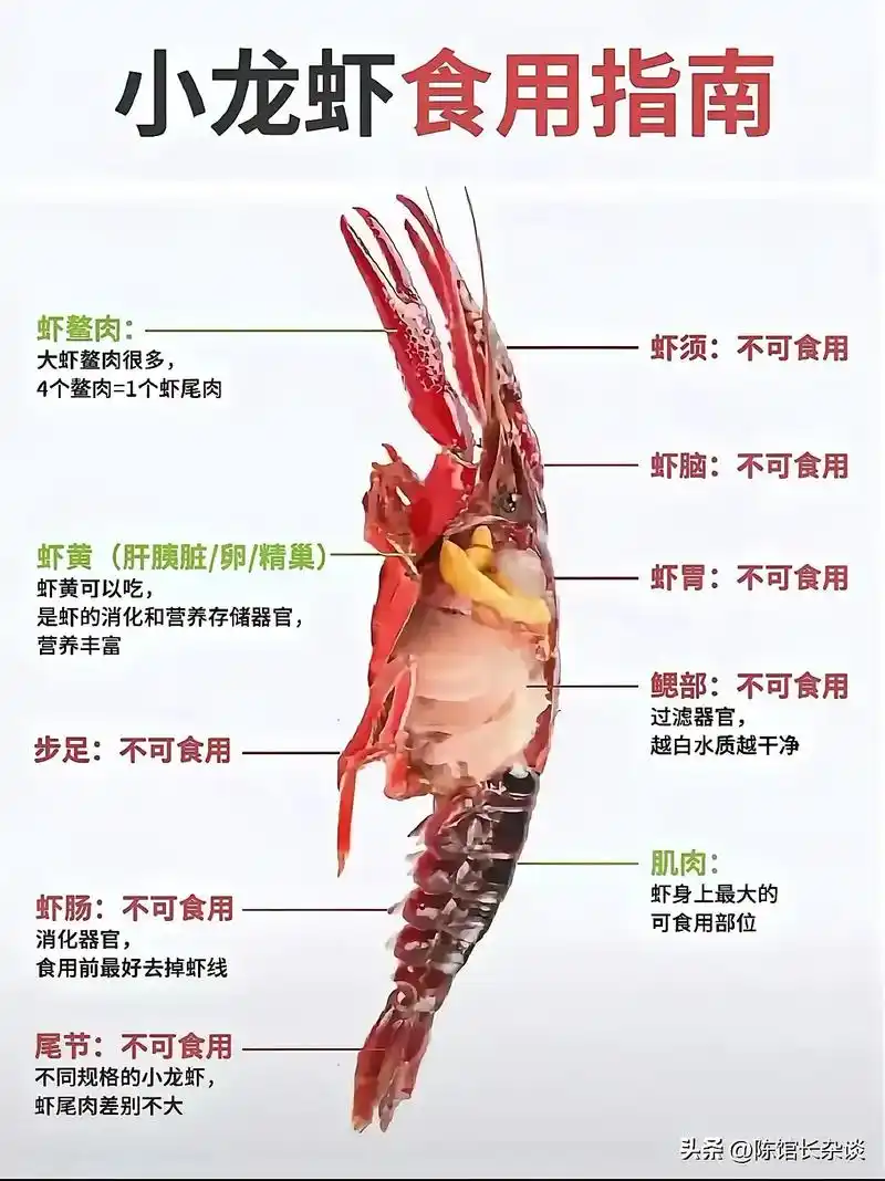 夏天到了,又是吃小龙虾的季节 这已经成为中国人的一种饮食习惯