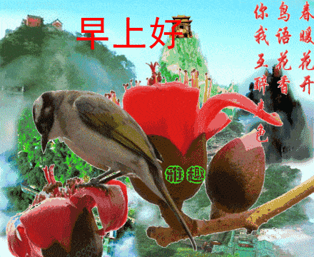 微信清晨早上好问候动画表情图片带字不用打字就可以聊天的早安问候