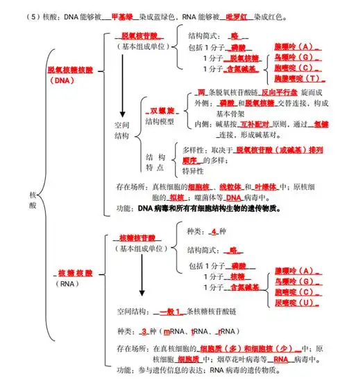 学姐独家发布:2021高中生物会考秒杀复习提纲(16大专题)