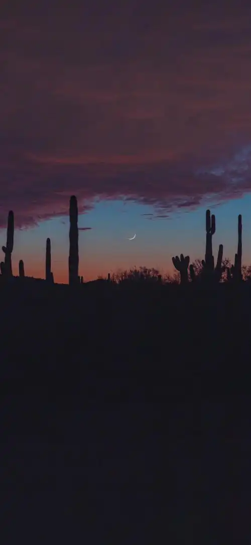 意境风景壁纸 chiikawa手机壁纸