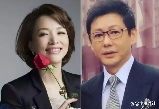 董卿老公密春雷被限制消费,百亿身家沦为老赖,董卿卖房帮其还债