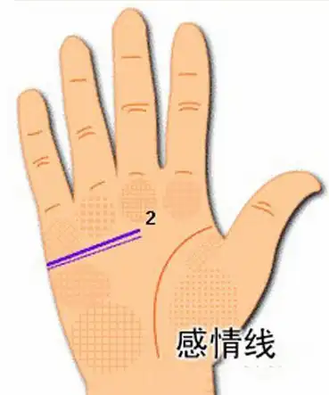两条感情线的男人代表什么2条感情线的女人命好吗