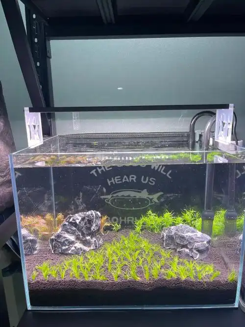 新开荷兰景水草缸